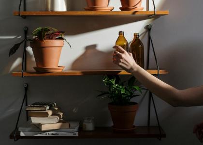 Estante com vasos de plantas, garrafas, livros e velas